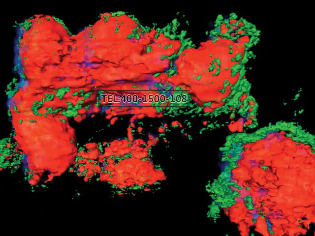 1618797068611905.jpg 2bd16bb762e78ee00576275b599a58b4.jpg